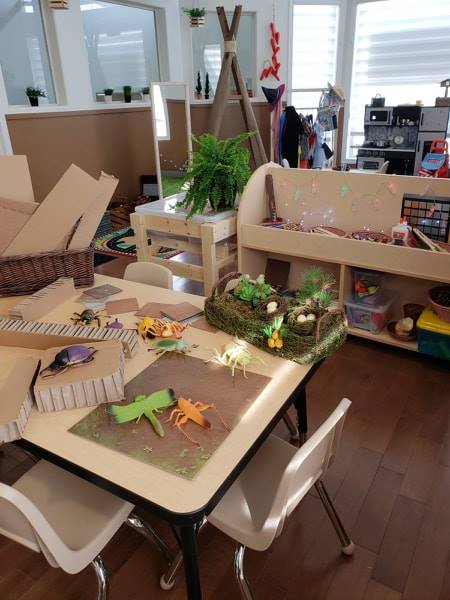 A classroom table set with natural materials and small animals